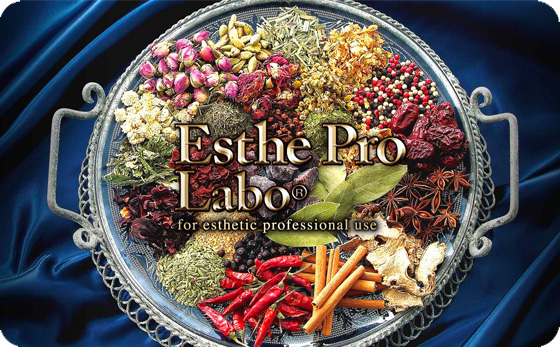 エステプロラボ